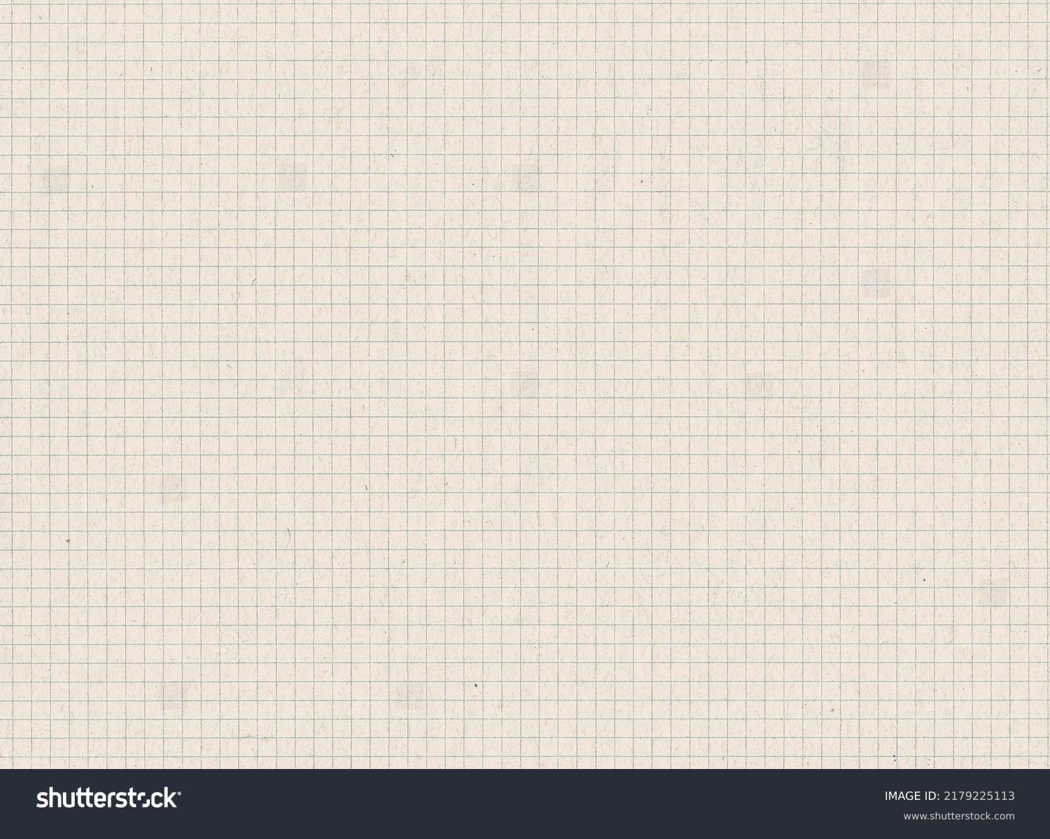 Graph Paper Template 50 X 50