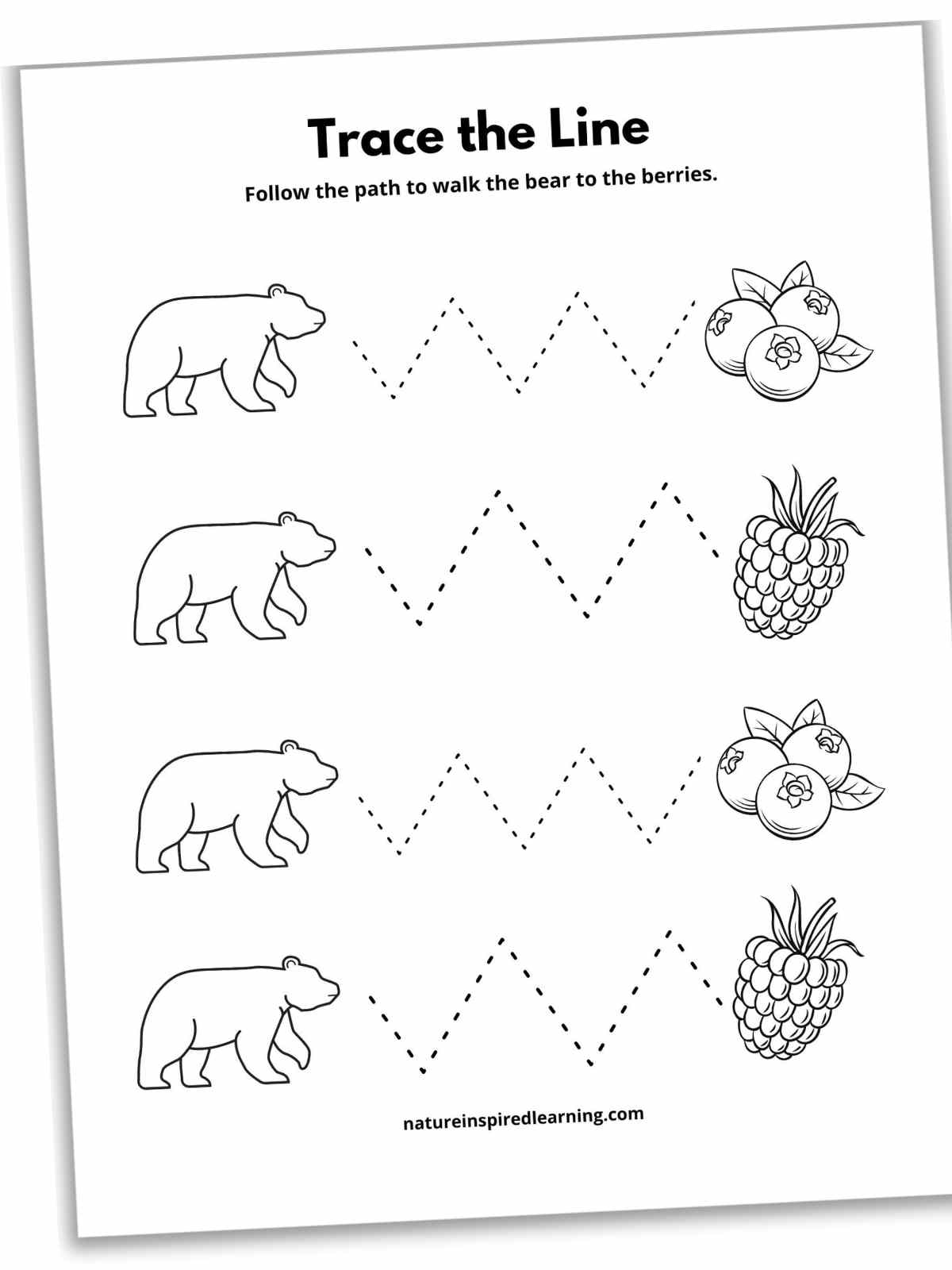 Dotted Line Graphic Lkg