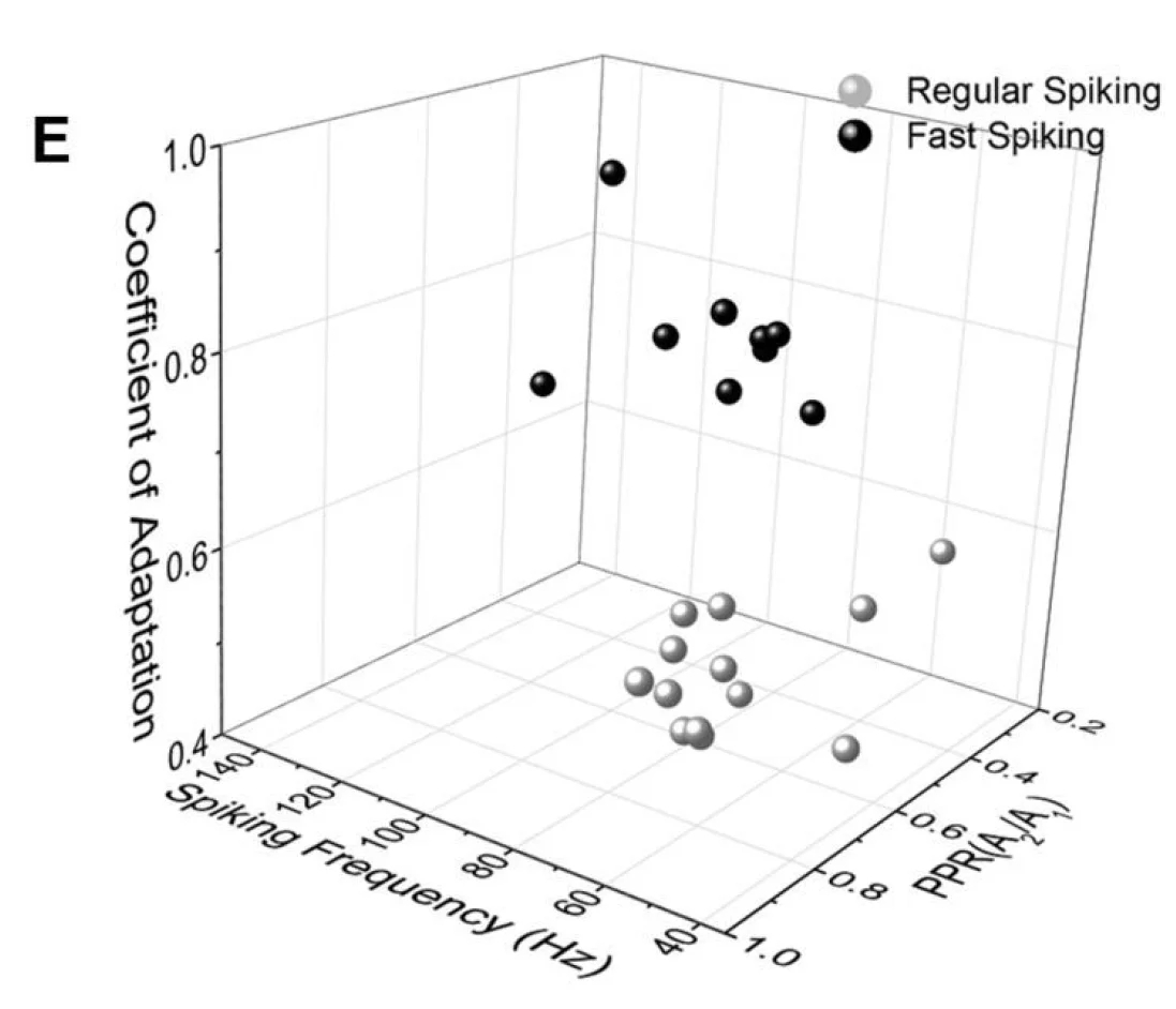 Graph Paper Xyz Axis Graph Paper Xyz Axis