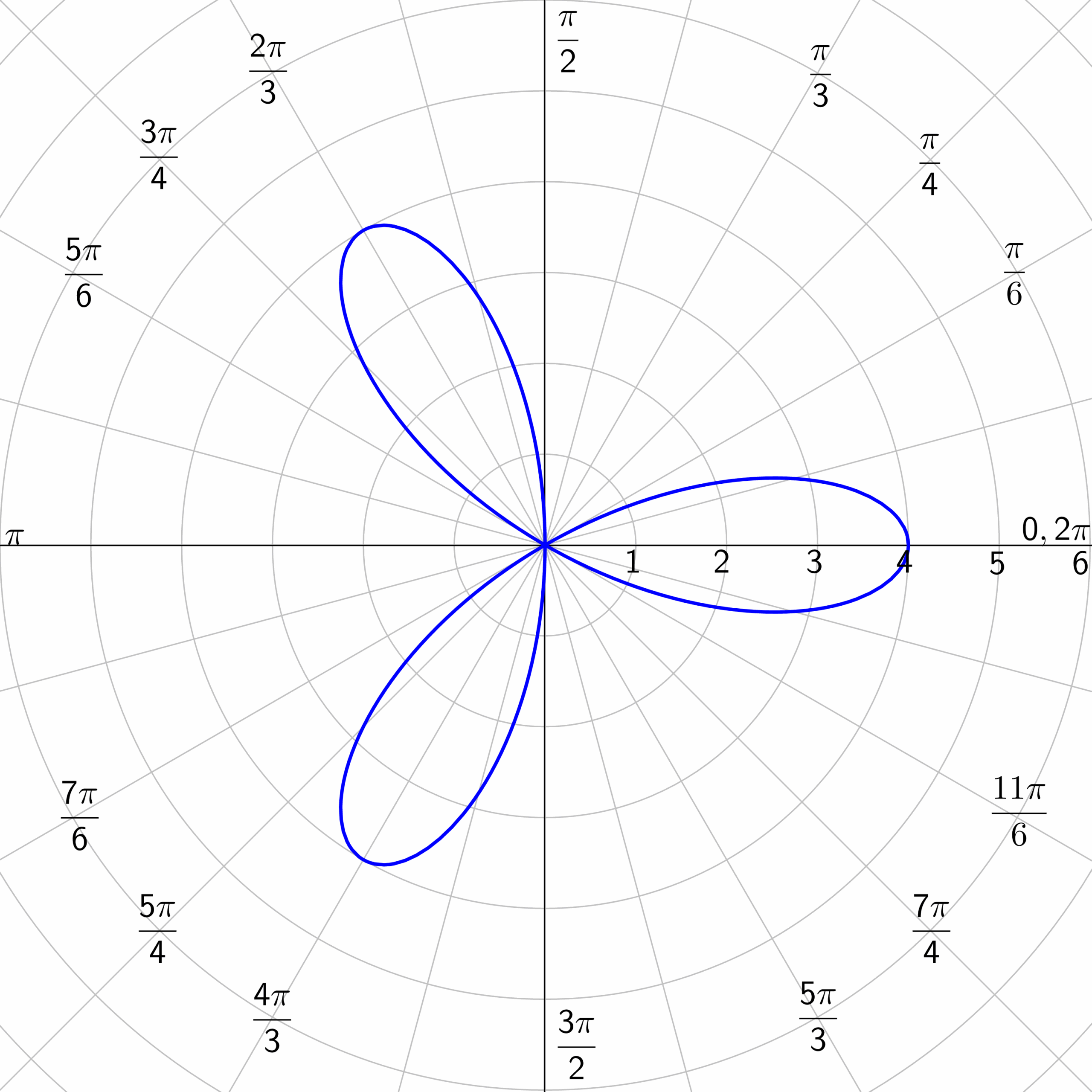 All Polar Graphs And Their Names