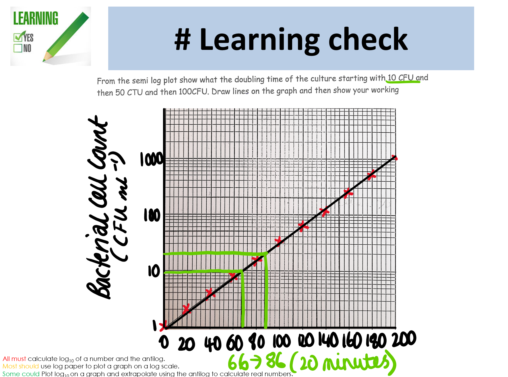 Log Graph Bacteria Log Graph Paper Log Graph Bacteria Log Graph Paper
