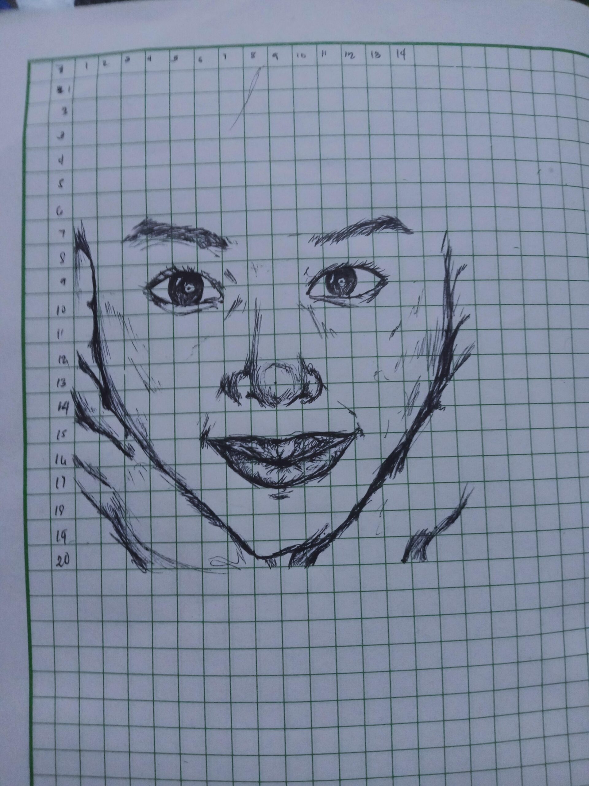 Alex Panda Ball Point Pen On Graphing Paper R drawing