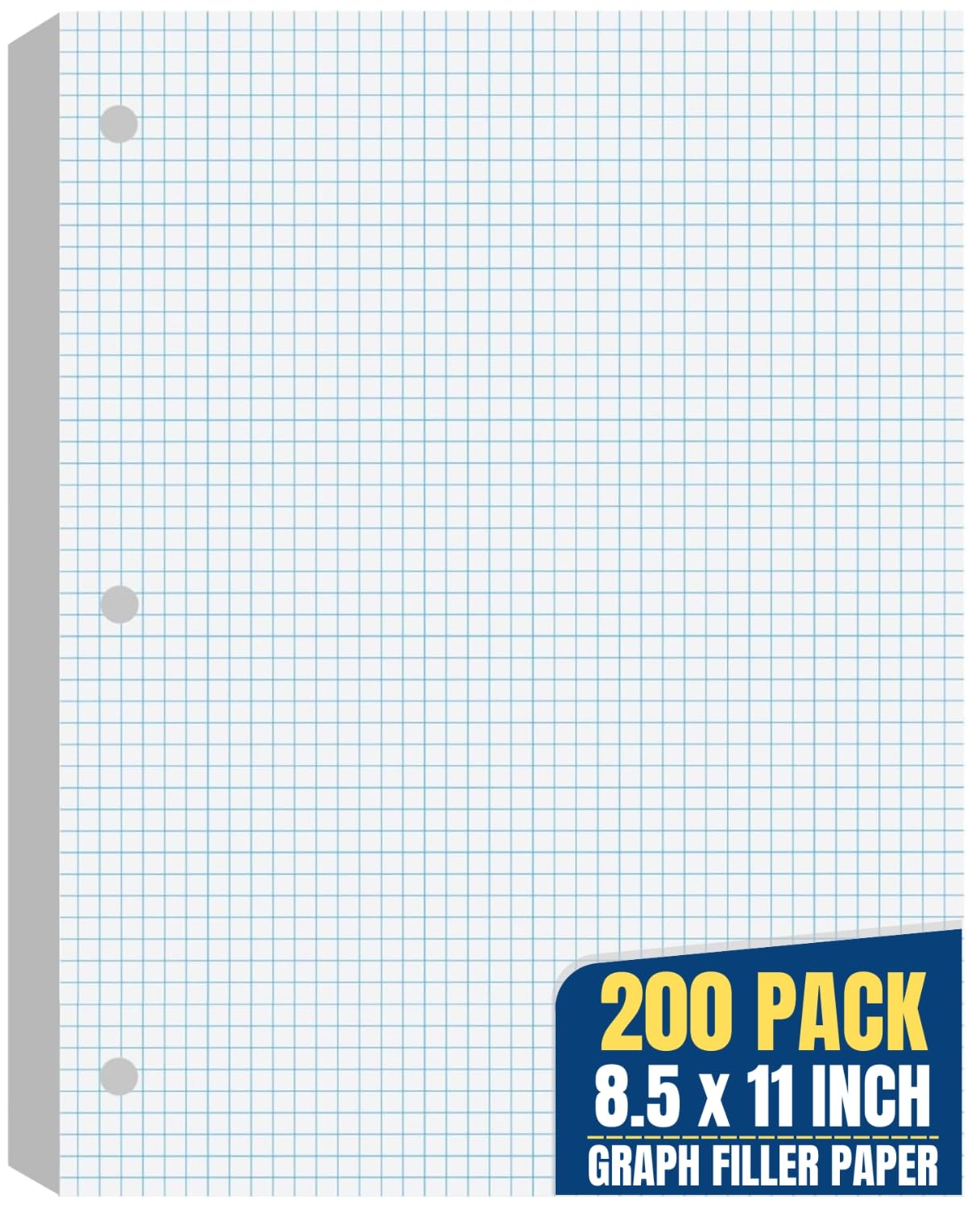 100 X 100 Graph Paper