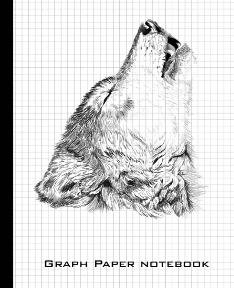 Drawing Sketch On Graph Paper