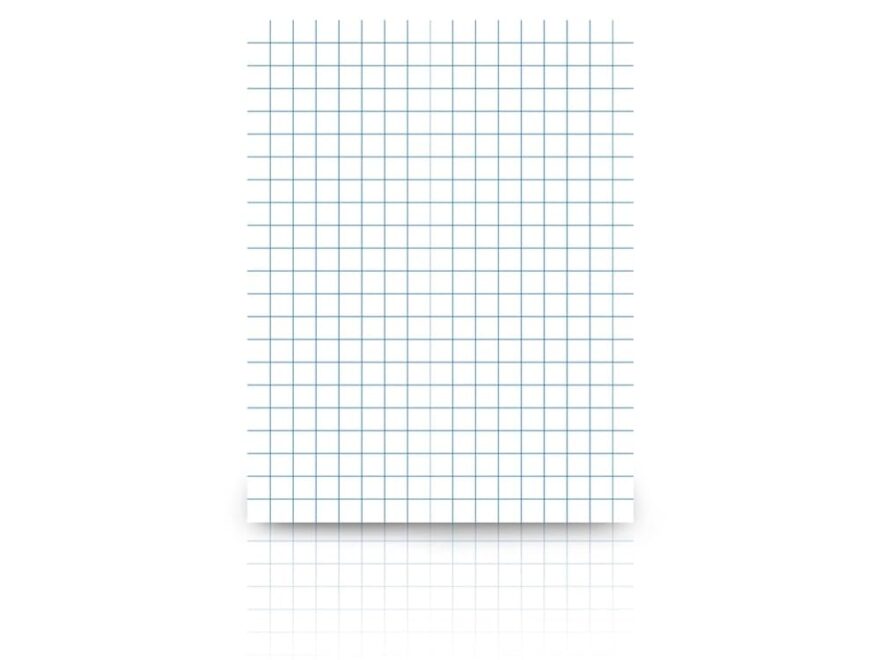 Amazon School Smart Graph Paper Pad 8 1 2 X 11 Inches 1 2 Inch Ruling 50 Sheets Pack Of 12 Pads Large Graph Paper Office Products