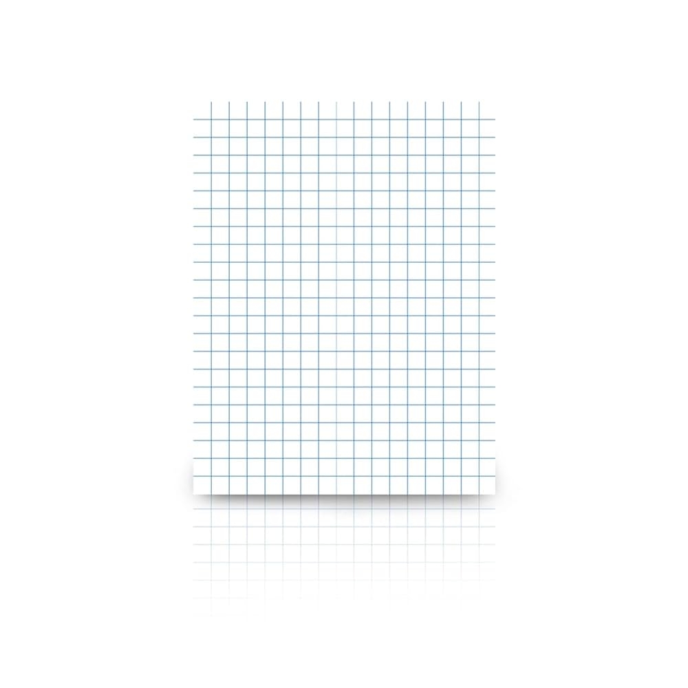 Amazon School Smart Graph Paper Pad 8 1 2 X 11 Inches 1 2 Inch Ruling 50 Sheets Pack Of 12 Pads Large Graph Paper Office Products