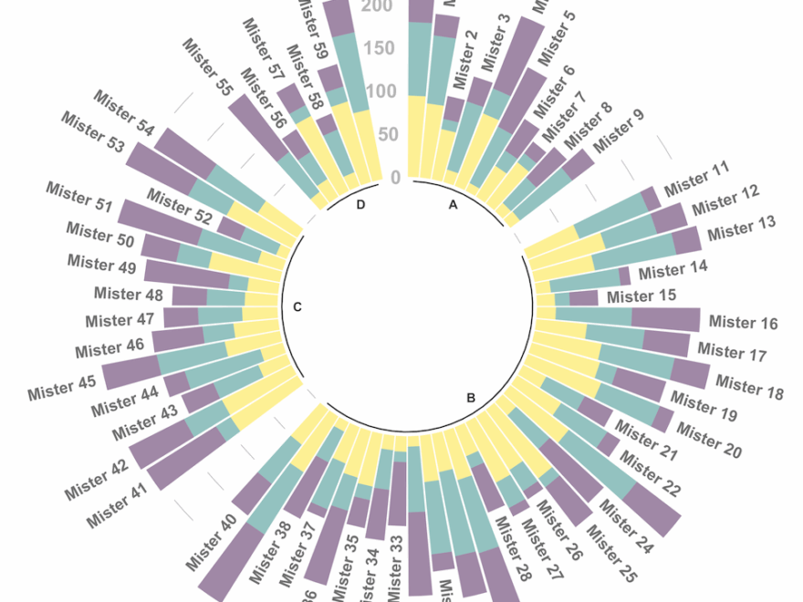 Circular Barplot The R Graph Gallery
