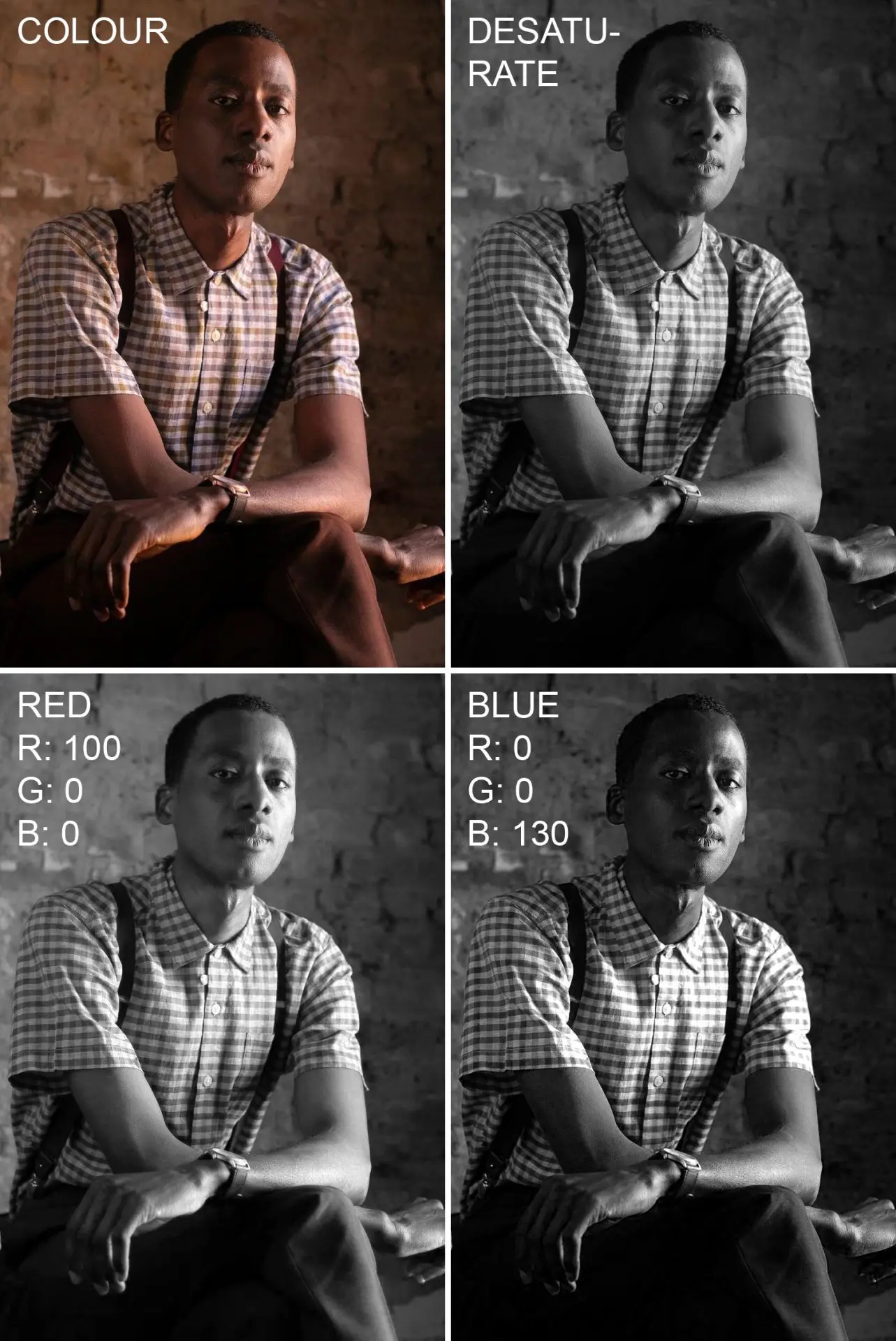 Color Digital Converted To Black And White Graph