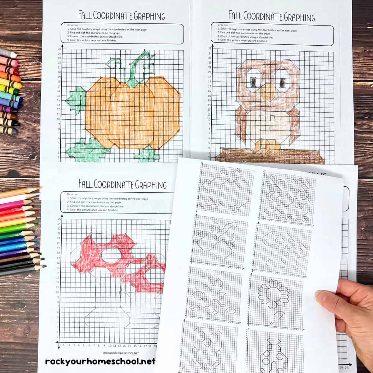 Four Quadrant Graphing Worksheets