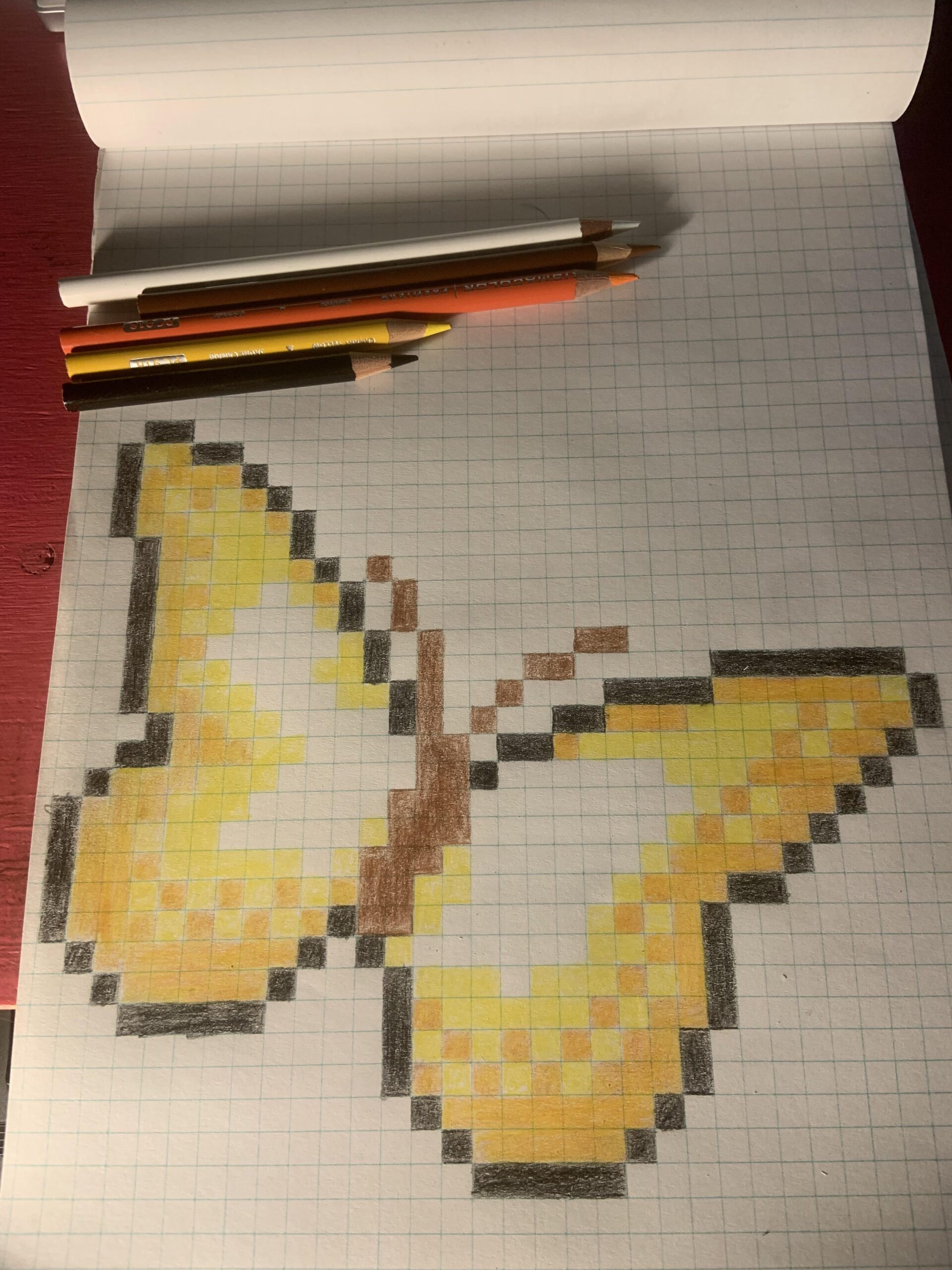 Amazing Graph Paper Art