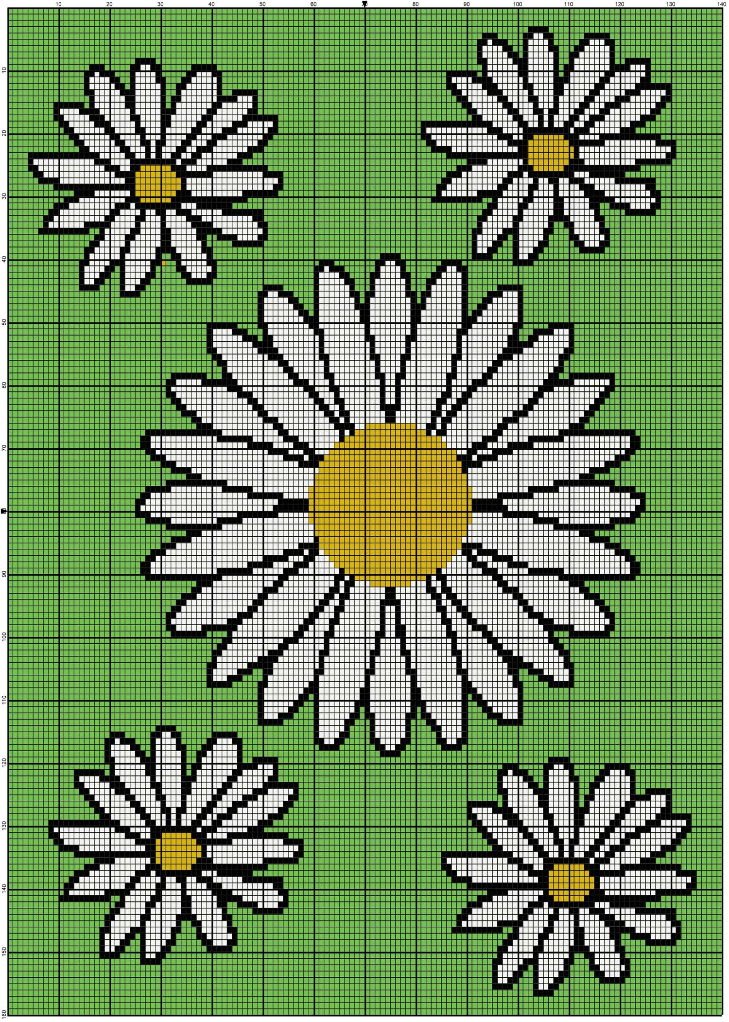 A Daisy Flower On Graph Paper