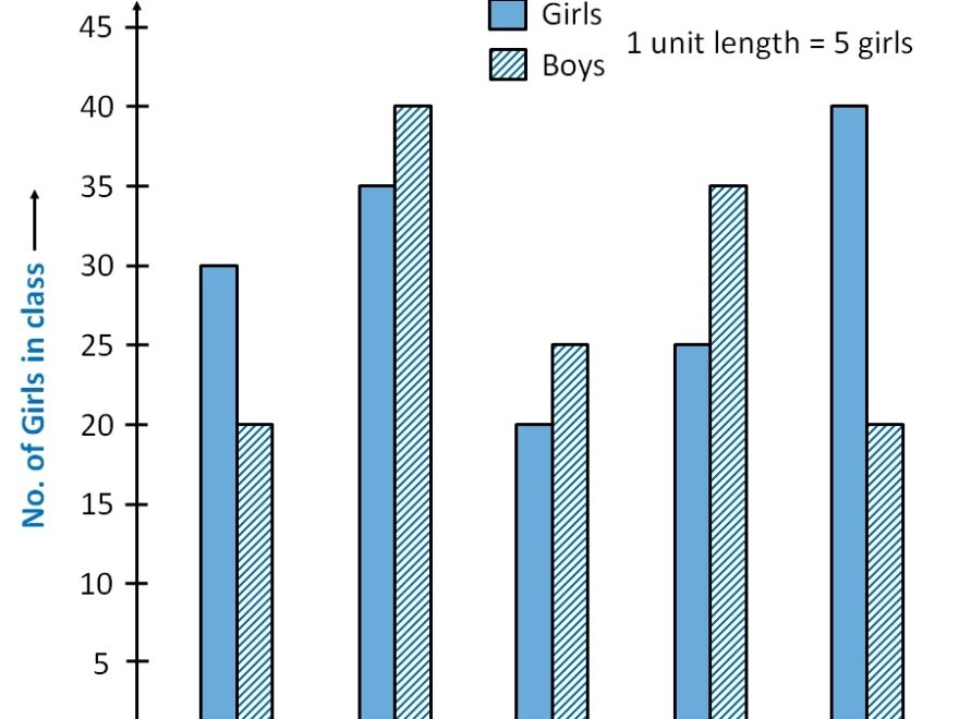 Double Bar Graph How To Draw With Examples Teachoo Double Bar G