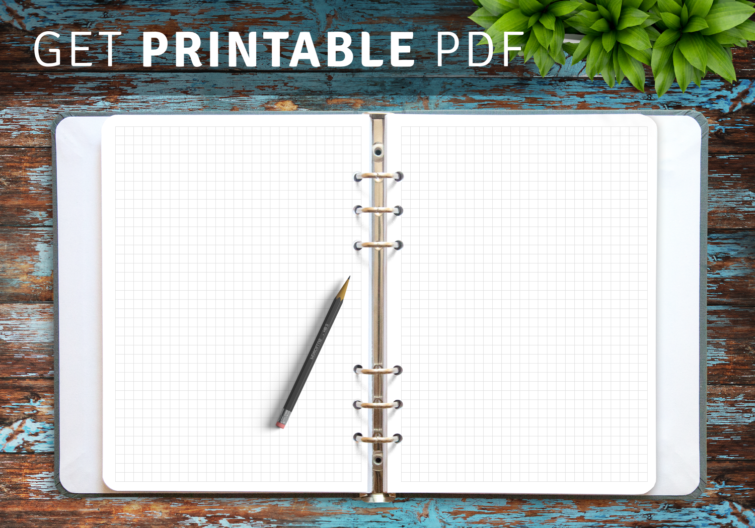 Free Printable Graph Pages