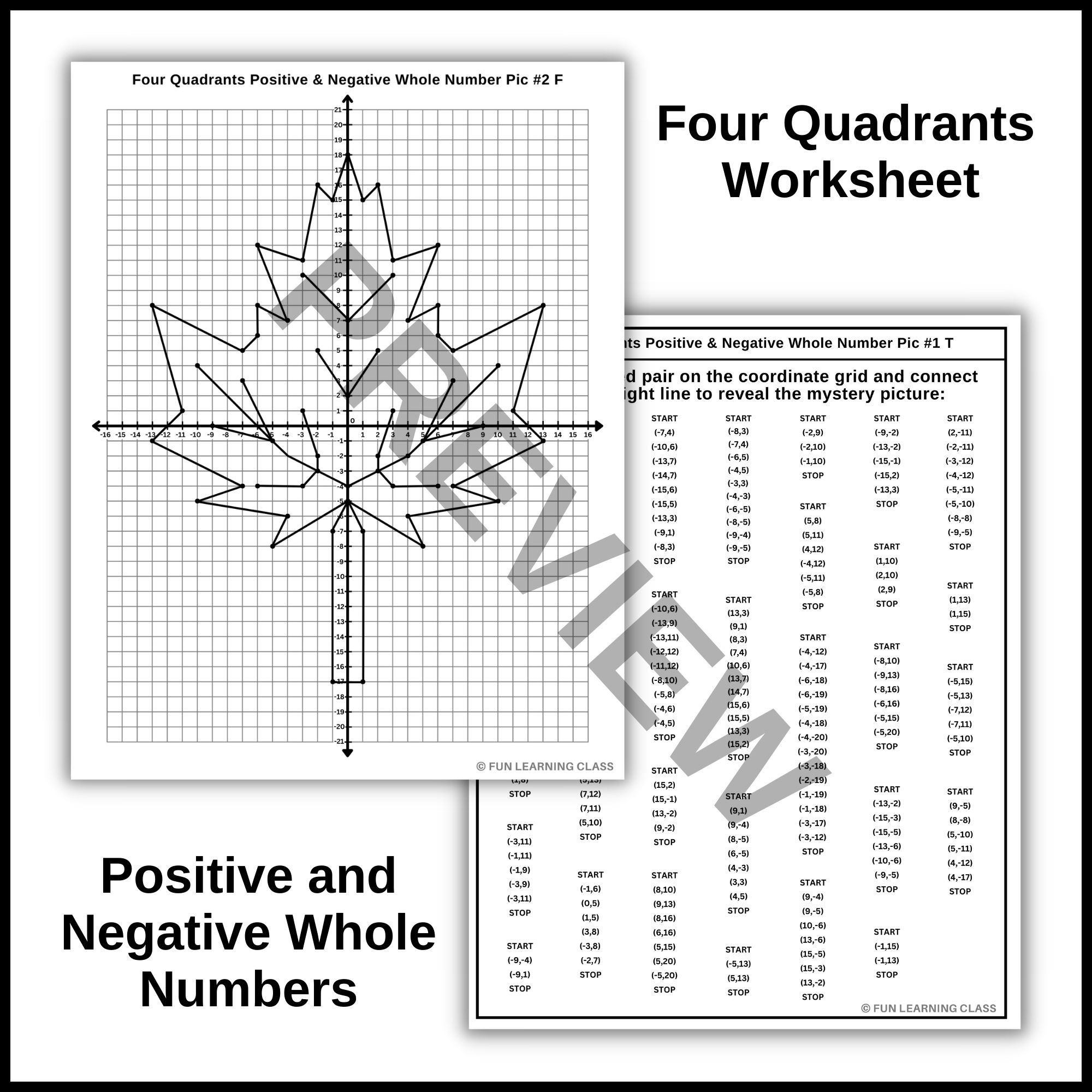 Numbered 4 Quadrant Graph Paper