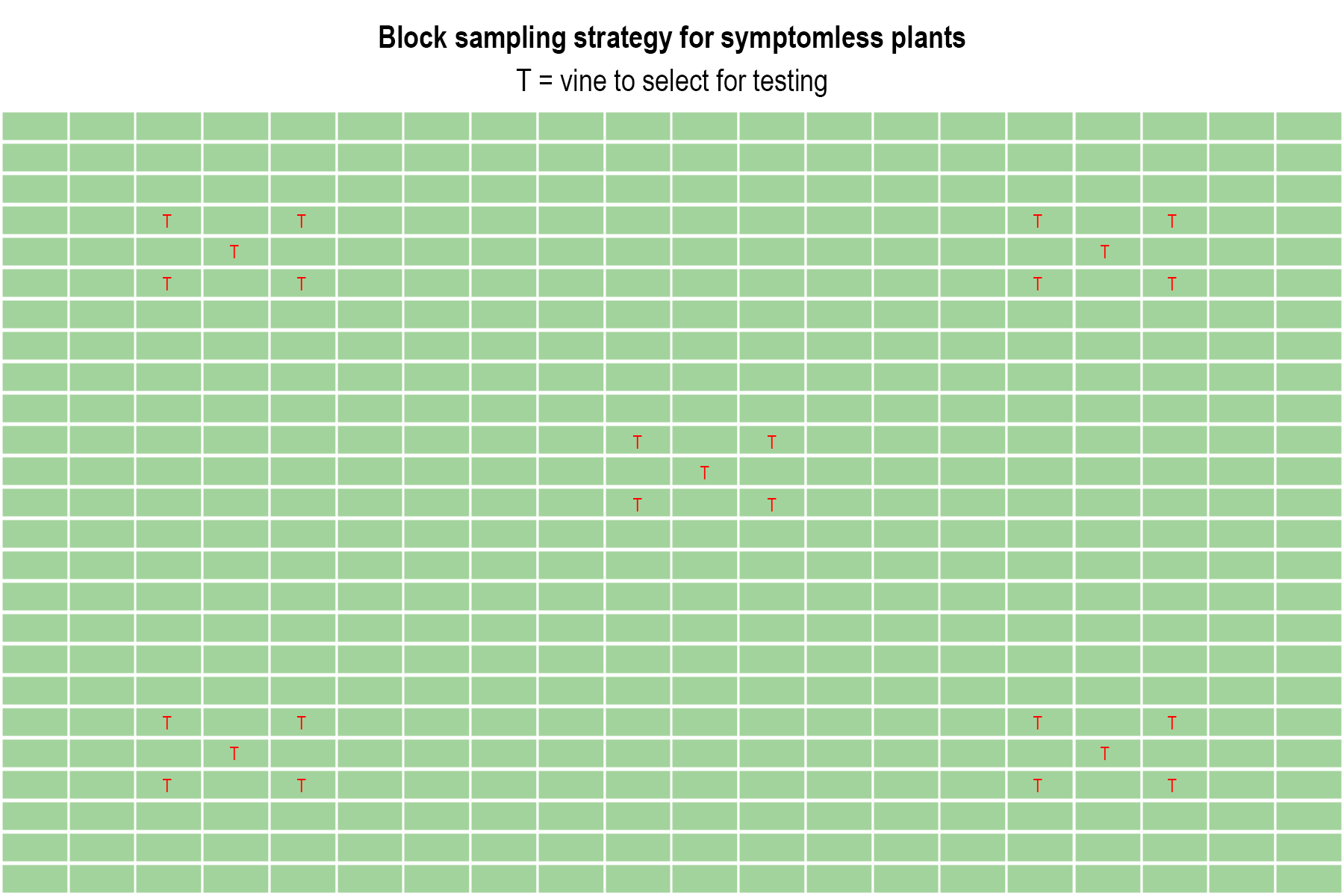 Grapevine Tissue Sampling Protocol For Virus Diagnostics Affinity Labs Grapevine Tissue Sampling Protocol For Virus Diagnostics Affinity Labs