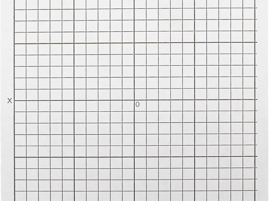 Graph Paper Bulk 500 Pk Graph Paper Stickers Accentuated Grid XY Axis Graph Vinyl