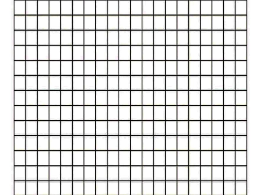 Graph Paper Loose Leaf BIG MATH NOTEBOOK 1 2 INCH SQUARES GRAPH PAPER QUAD RULED 8 5 X 11 INCH PERFECT BOUND ELEMENTARY SCHOOL KIDS VOL 2 Large Graph Paper