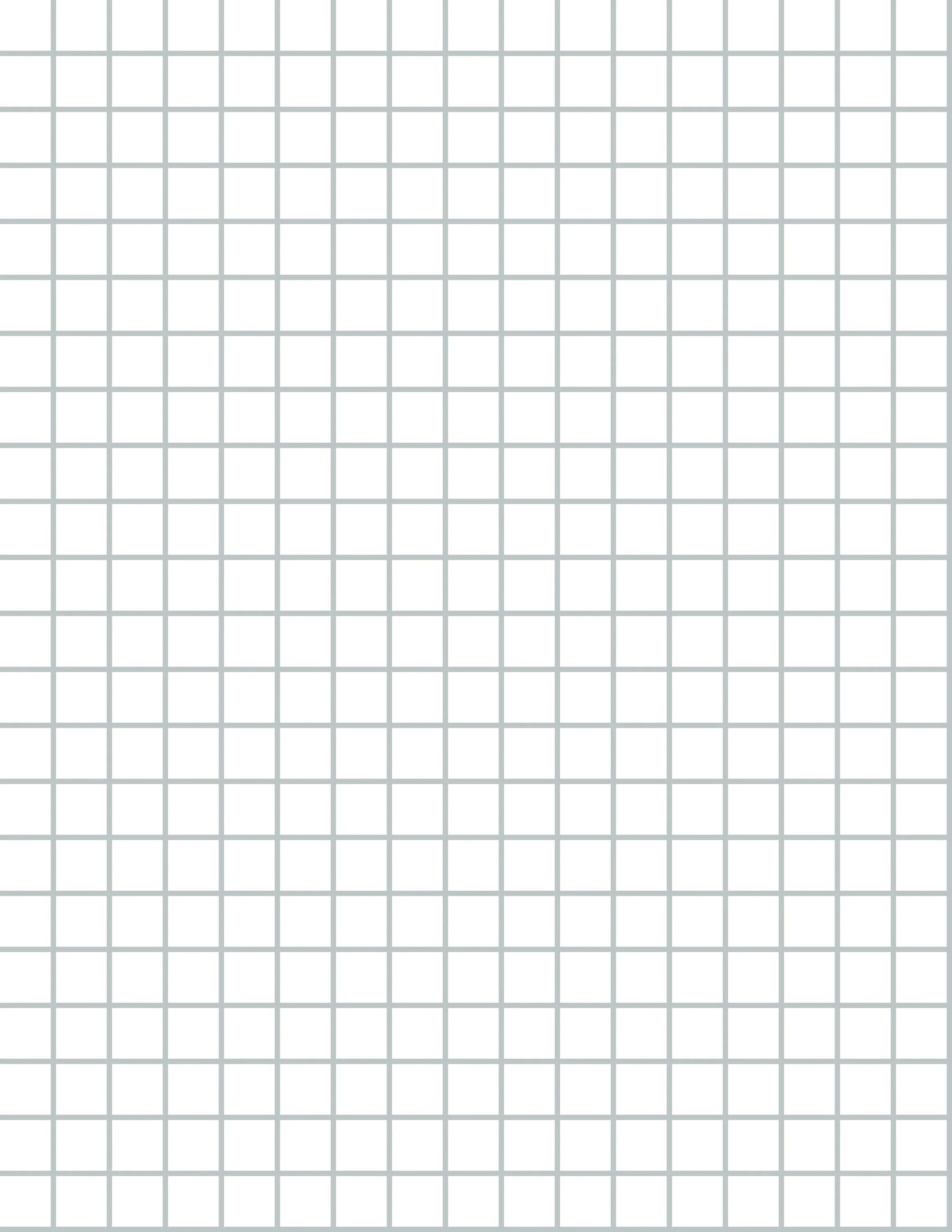 Graph Paper Pad 2 Pack 8 5 X 11 Quad Ruled Graph Maldives Graph Paper Notebook