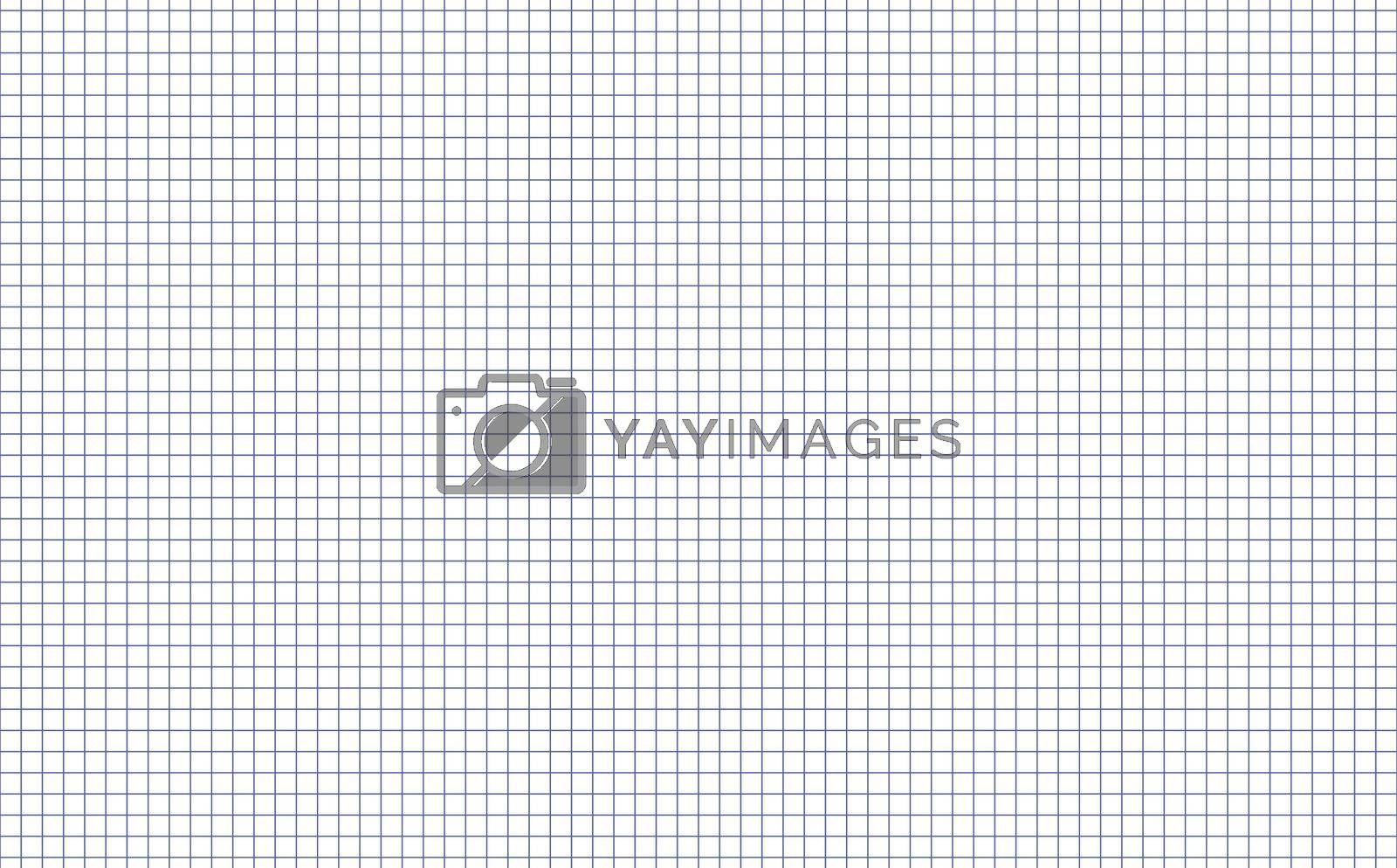 Square Graph Paper Template