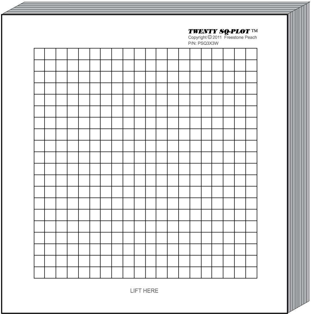 50x50 Graphing Paper With Axes
