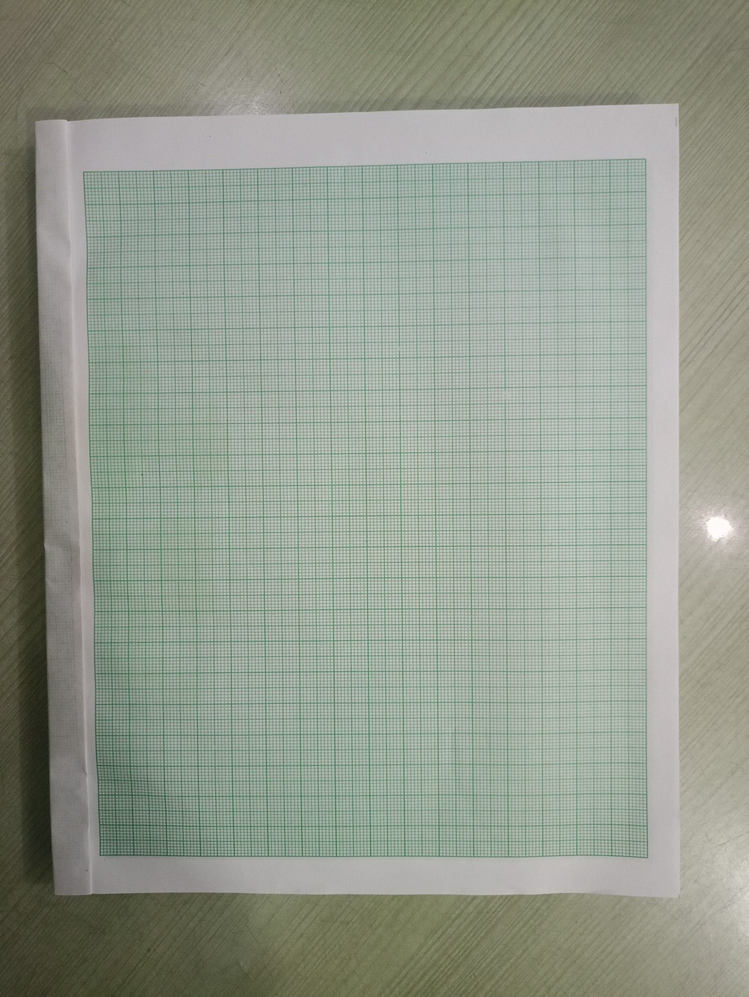 Green And White Graph Paper Sheet 100 Size A4 At 5 piece In Jaipur ID 2849757981630