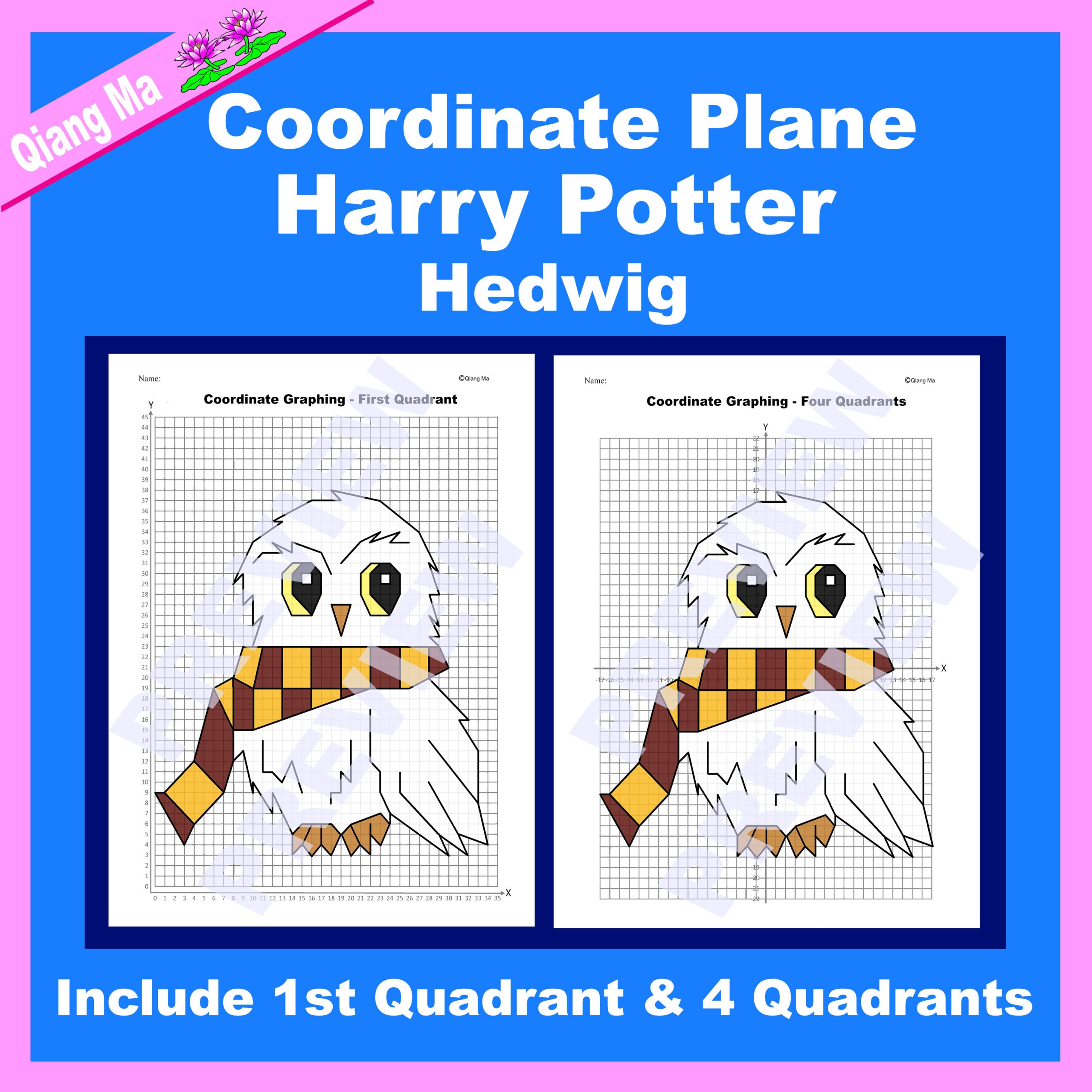 Harry Potter Coordinate Plane Graphing Picture Hedwig Owl Made By Teachers