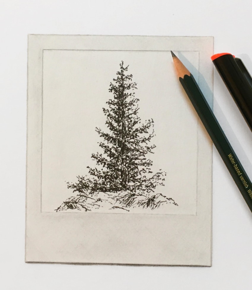 How To Draw Realistic Trees Ran Art Blog How To Draw Realistic Trees Ran Art Blog