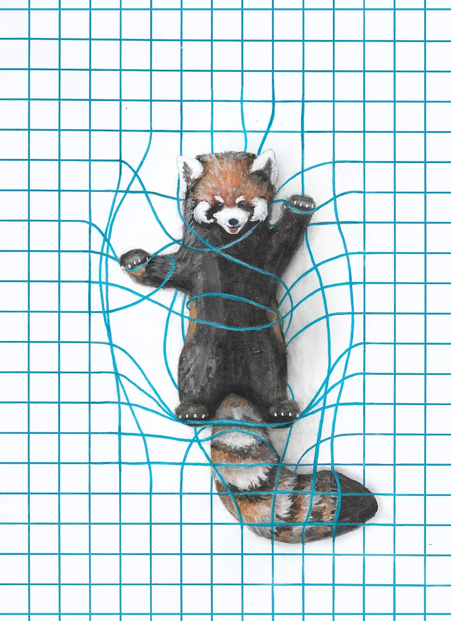 My 8 Animal Drawings On Lined Dotted And Graph Paper Are Made To Look Like They Are Playing On The Page Bored Panda