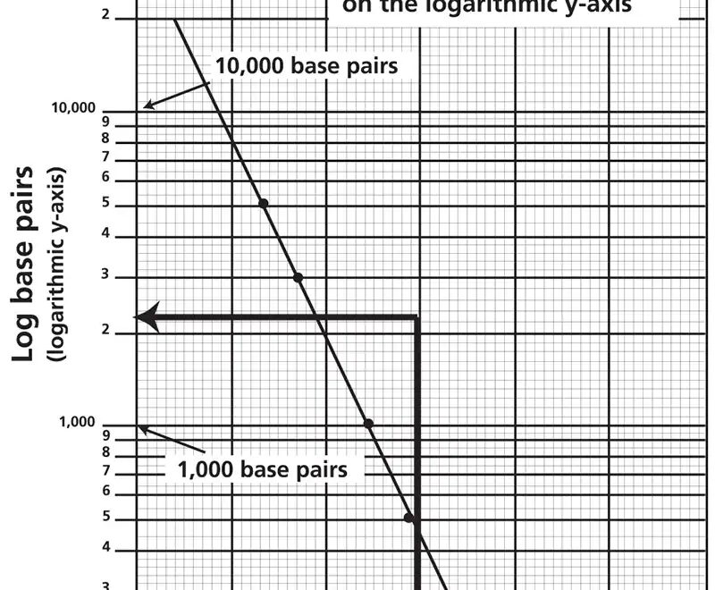 Quick Guide Using Technology To Create A Standard Curve