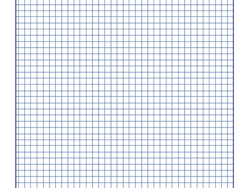 School Smart Graph Paper 1 4 Inch Rule 9 X 12 Inches White Pack Of 500 Amazon sg Office Products