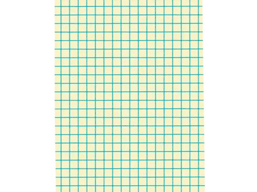 School Smart Graph Paper Half Inch Rule 9x12 Inches Manila Pack Of 500