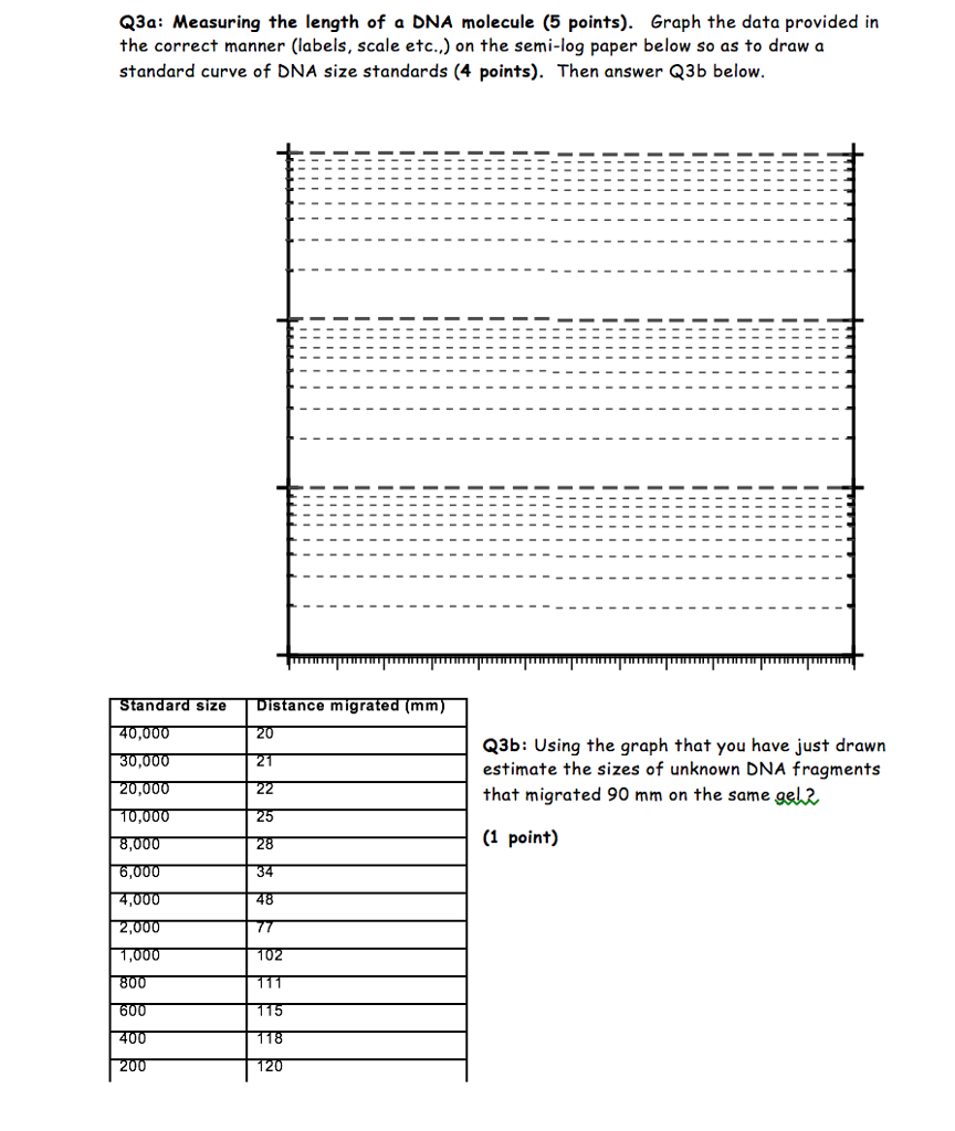 Semi-Log Graph Paper For Dna Semi-Log Graph Paper For Dna