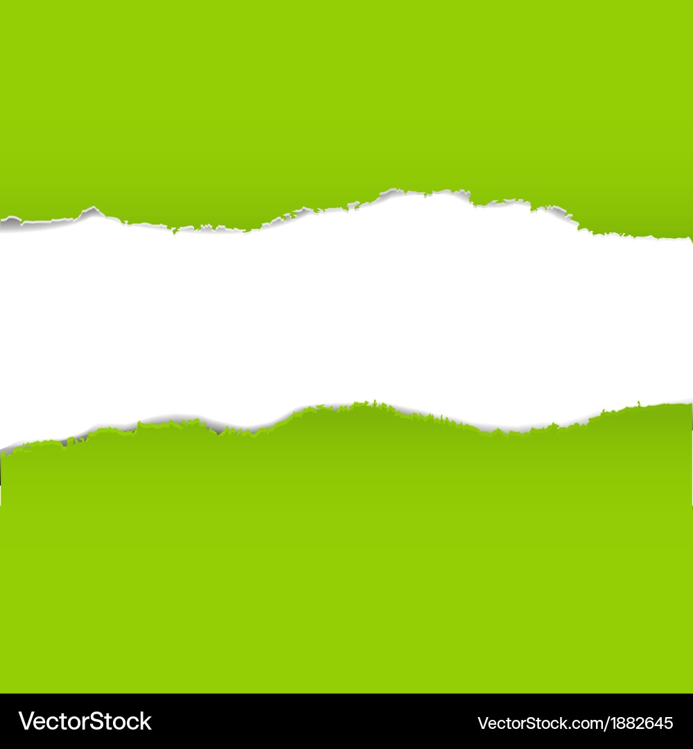 Torn Green Paper Borders Royalty Free Vector Image
