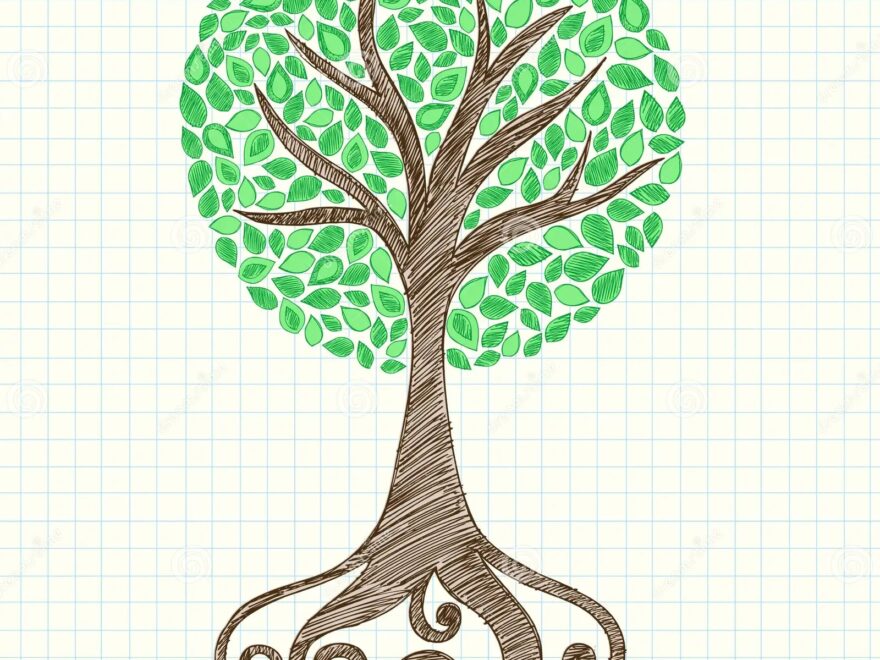 Tree Sketchy Notebook Doodle On Graph Paper Stock Vector Illustration Of Detailed Hand 11011857