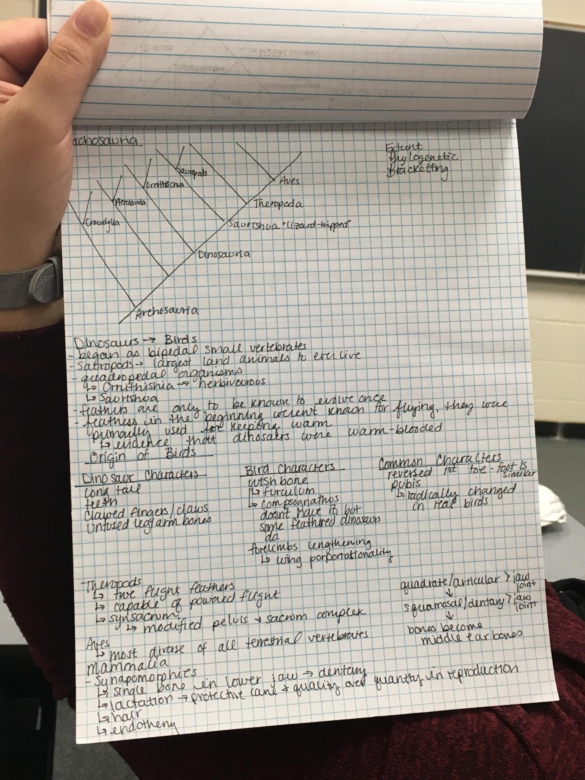 Writing On Grid Paper R mildlyinteresting