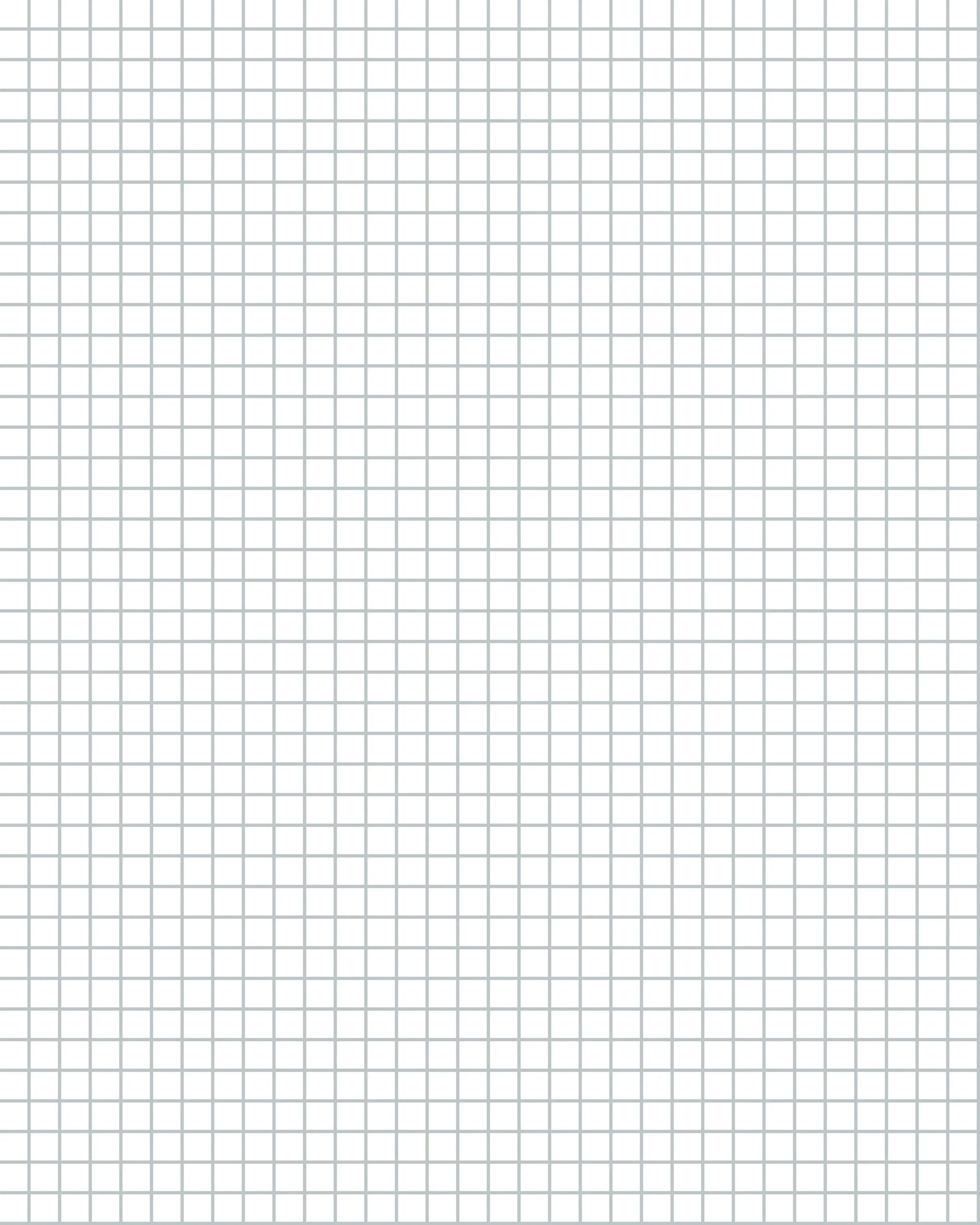 8x10 Graph Paper 25 Inch Digital File Etsy