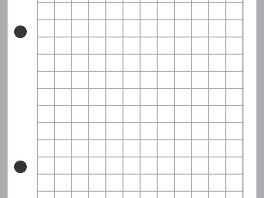 Amazon Personal Size Graph Paper Refill Sized And Punched For Filofax Personal Notebook 3 7 X 6 75 Office Products