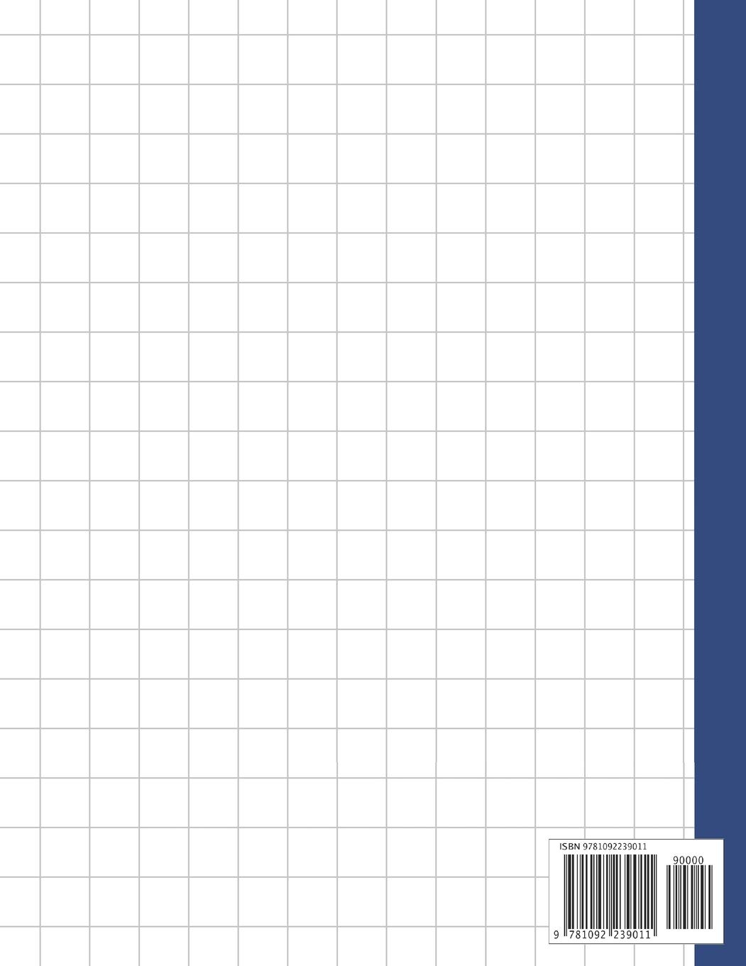 Big Printable Graph Paper