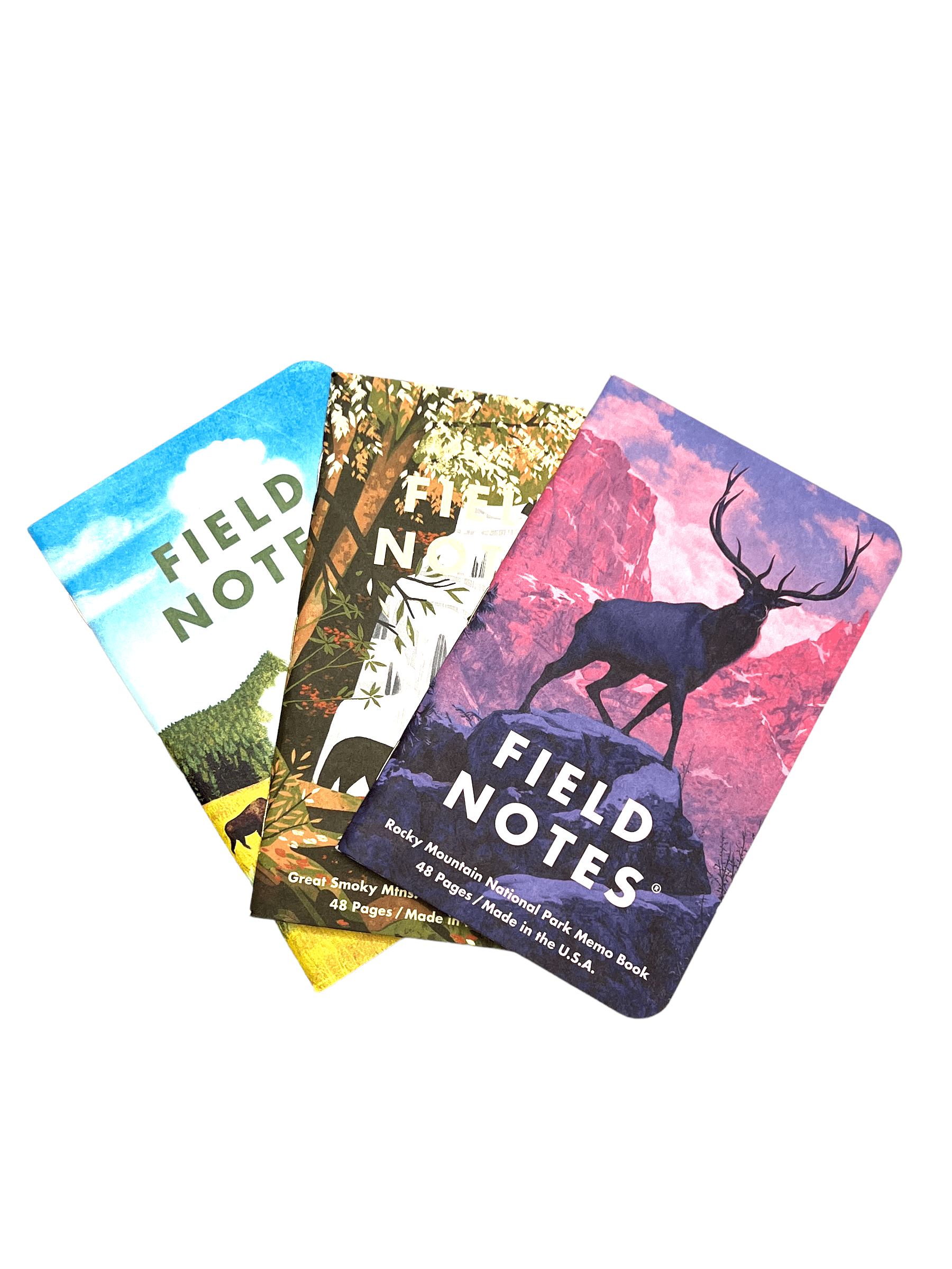 Dot Grid National Parks Limited Edition Notebooks Series B All Day Ruckoff Field Notes