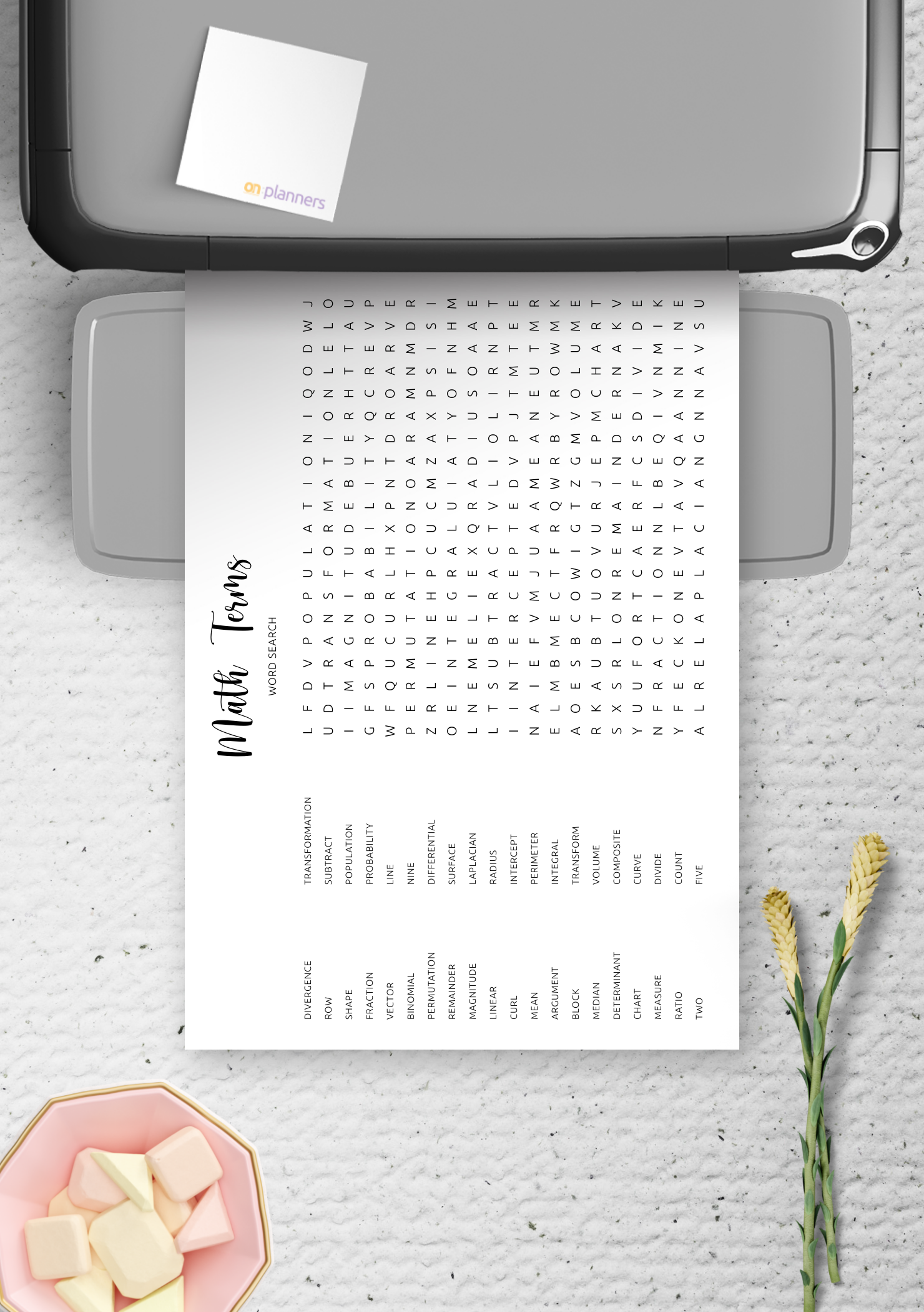 Download Printable Mathematics Terms Word Search In PDF