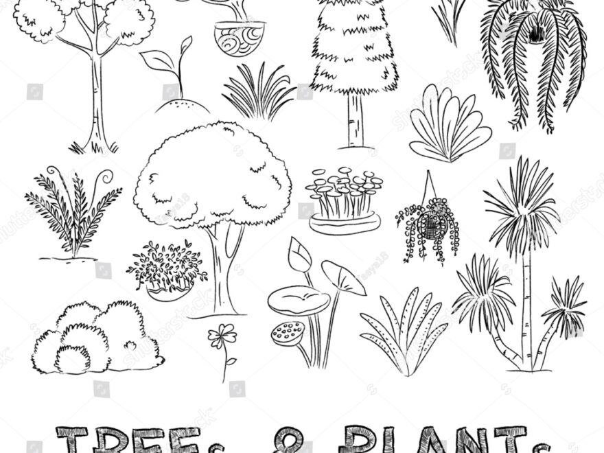 Drawing Trees Plants Collection On Grid Stock Illustration 330271808 Shutterstock