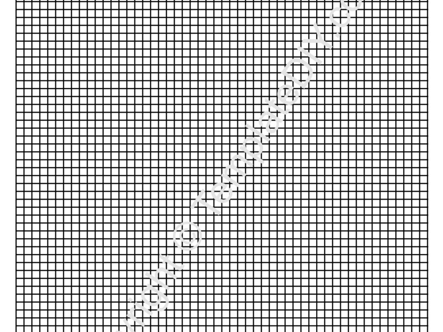Full Page Graph Paper Grid Paper Template Printable PDF