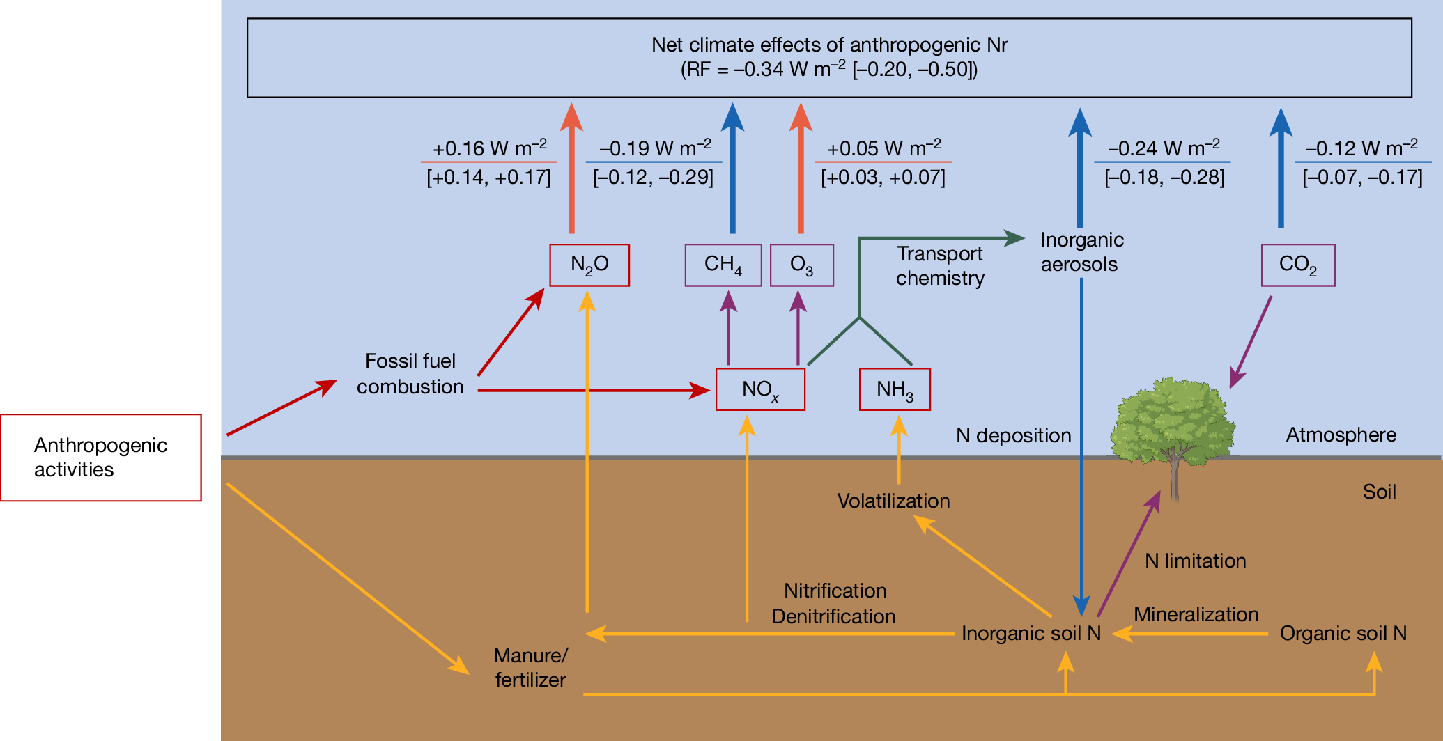 Nitrogen Cycle Graph Paper Printable