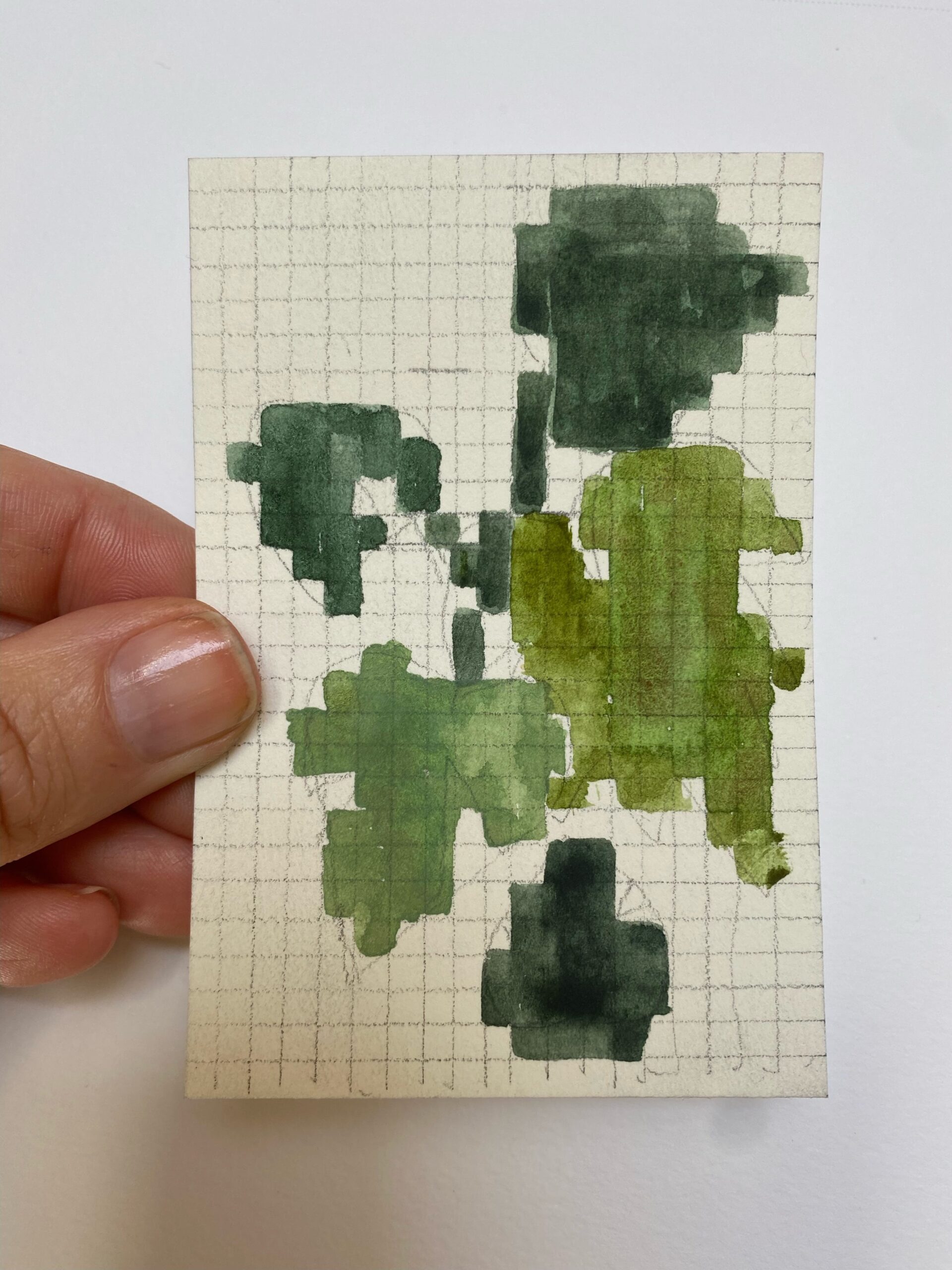 Grids And Graphs By Wendy MacNaughton