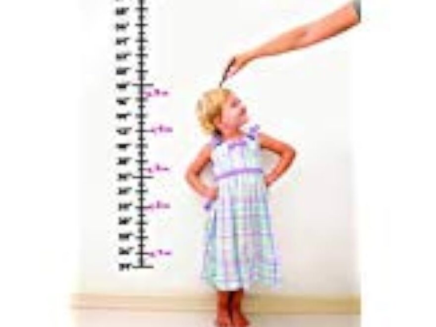 Growth Chart Stickers 2Sets 7 Feet Growth Chart Stencil Plane Template Reusable Height Growth Ruler Chart Painting Chart Template