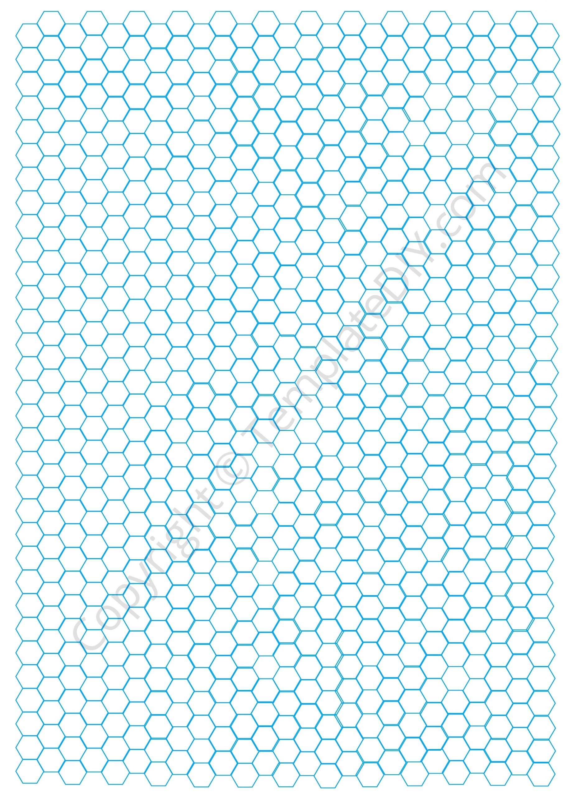 Hexagon Graph Paper Grid Paper Template Printable PDF