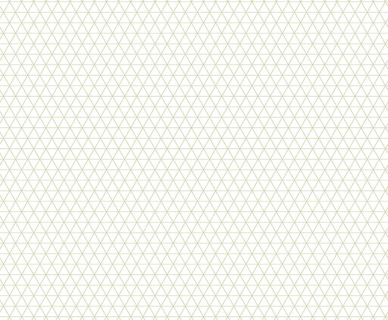 QuiltGenius Graph Paper 8 X 10 60 Sheets 3 Grid Styles 1 4 Square 30 Sheets 1 4 Diagonal 15 Sheets 1 4 Isometric 15 Sheets C T Publishing 0734817205425 Amazon Books