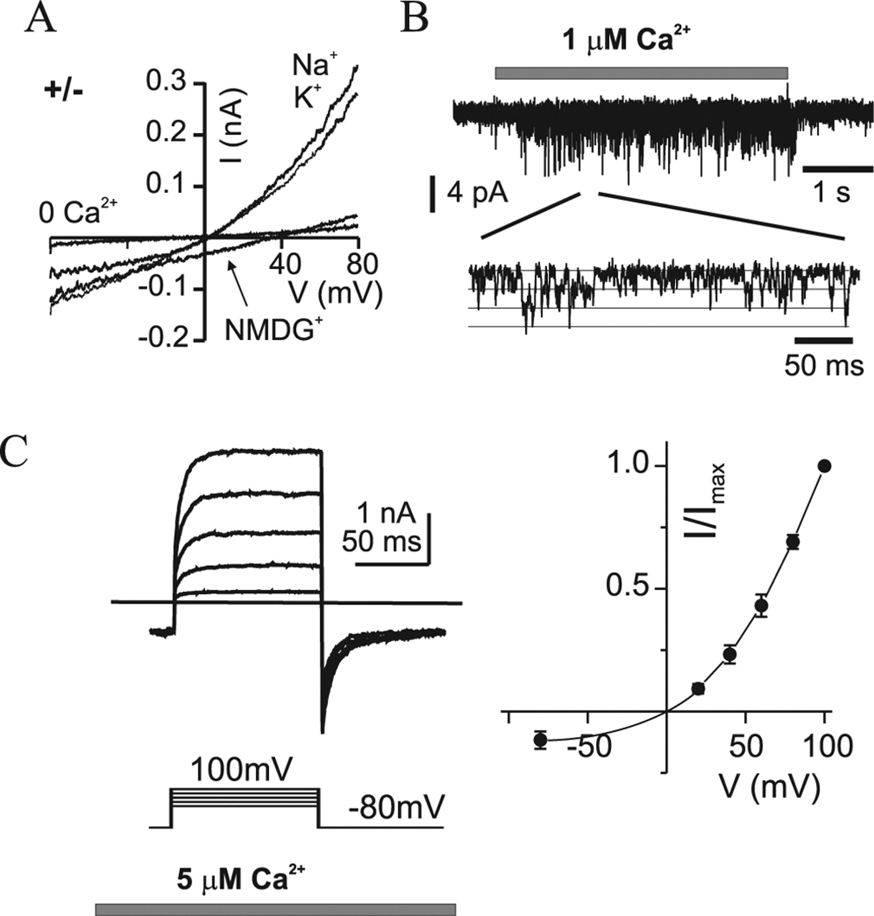 The Transduction Channel TRPM5 Is Gated By Intracellular Calcium In Taste Cells Journal Of Neuroscience